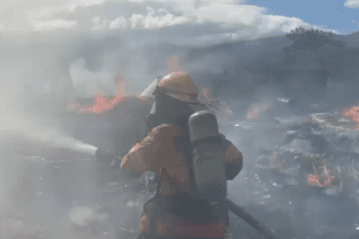 Incendio consume recicladora