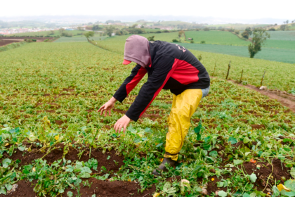 Agricultura