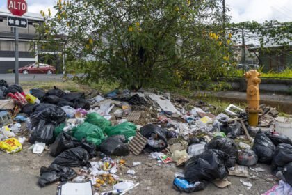 Residuos: reforma da plazo de 2 años a municipios para gestión regional