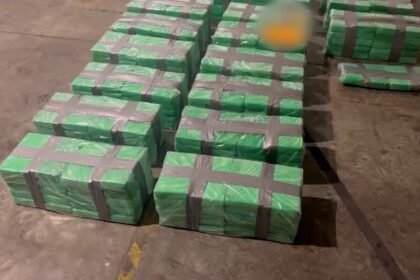 Narcotráfico detenido: 504 paquetes de cocaína hallados en Moín