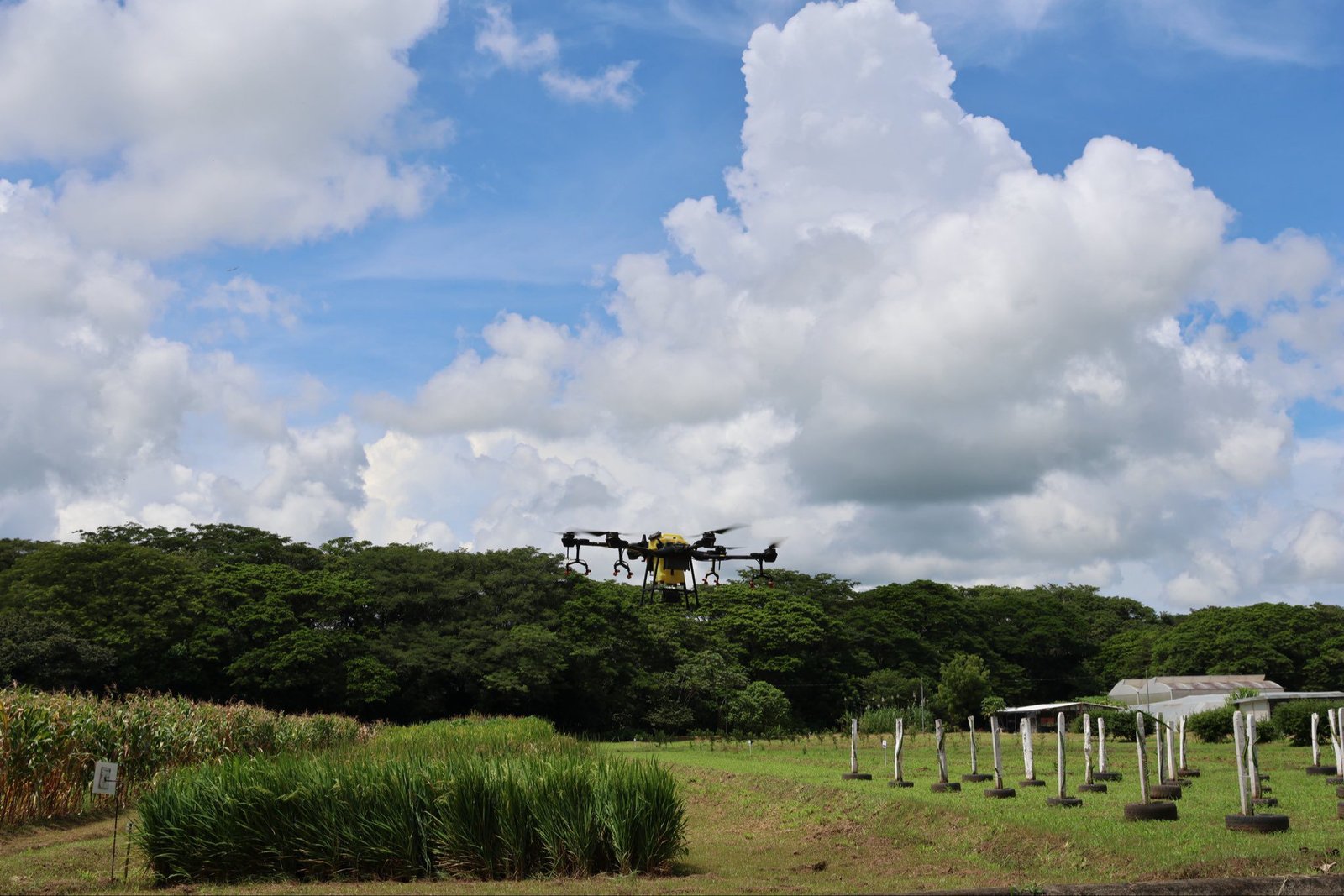 resiliencia agropecuaria Guanacaste FAO MAG INTA