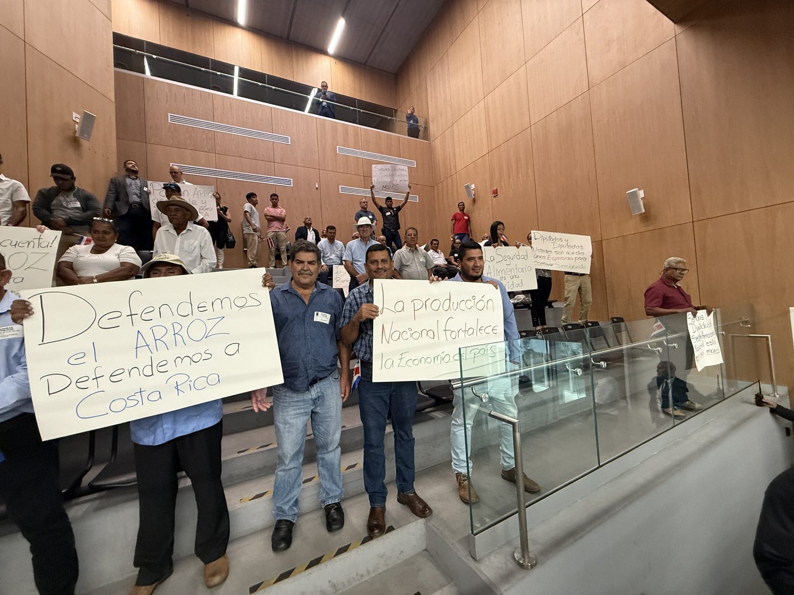 “Producción arrocera Costa Rica seguridad alimentaria”