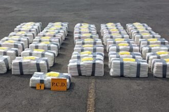 incautación cocaína Moín contenedor puerto Limón yuca escáner