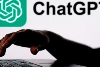 Interacción: OpenAI