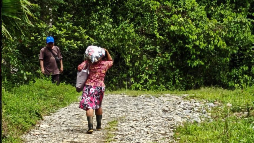 CNE mantiene atención por emergencia en Talamanca