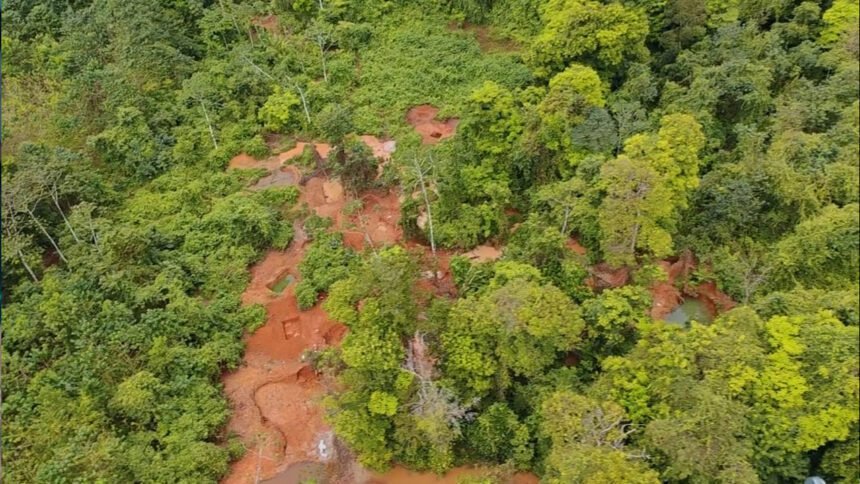  Terror ambiental en Conchudita: Zamora lidera operativo