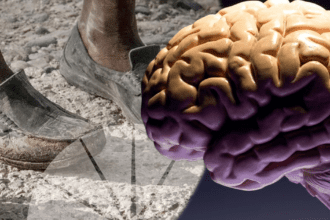 ¿La pobreza cambia el cerebro?