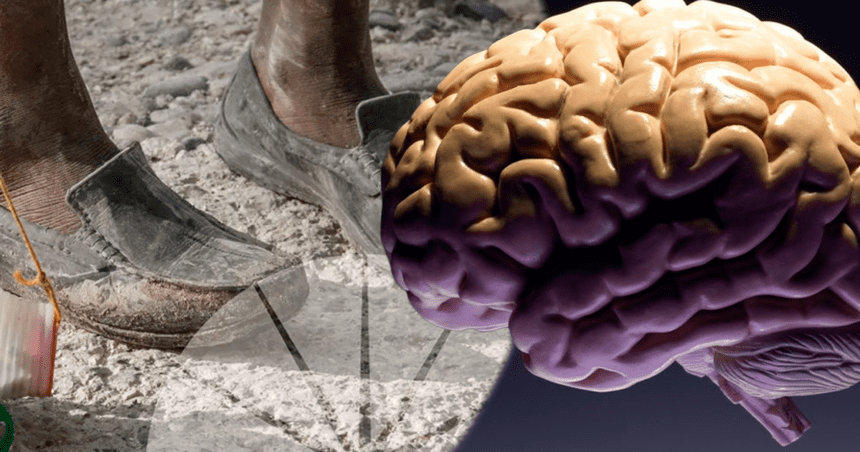 ¿La pobreza cambia el cerebro?