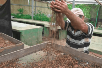 Industria de semillas de Costa Rica busca inversión