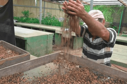 Industria de semillas de Costa Rica busca inversión
