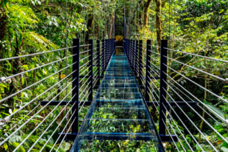 Puente de vidrio en Monteverde