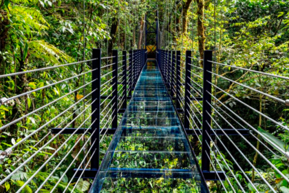 Puente de vidrio en Monteverde