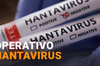  Brote de Hantavirus