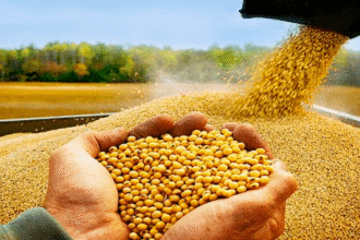 Taiwán productos agrícolas acuerdo con EE. UU.
