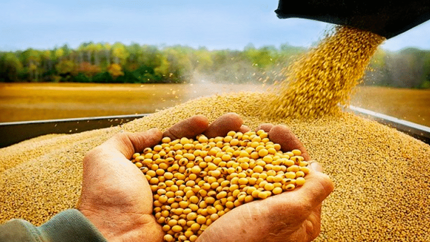 Taiwán productos agrícolas acuerdo con EE. UU.