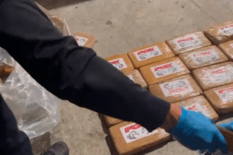 decomiso de cocaína en Limón