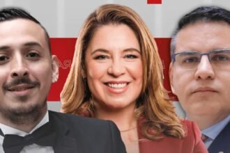 Se Busca Presidente