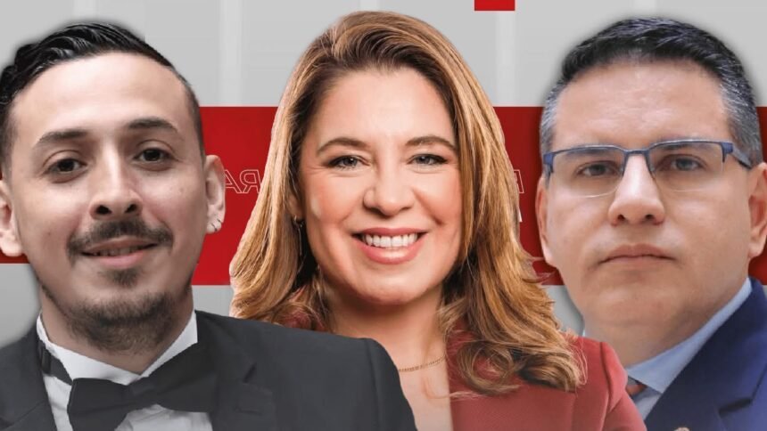 Se Busca Presidente