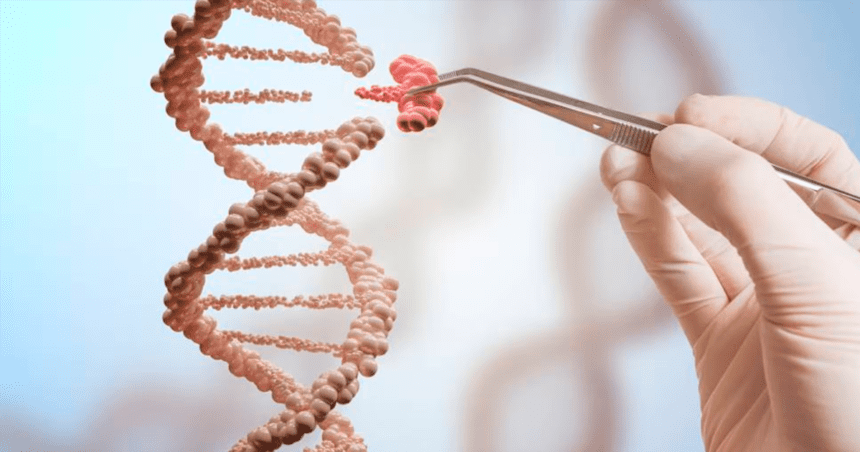 CRISPR: Intellia