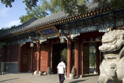 Plagio masivo en China