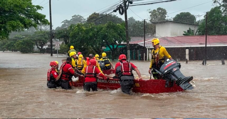 CNE no baja la guardia