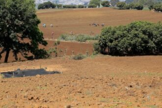 ¿Se vienen racionamientos? El Gobierno prepara plan ante la sequía inminente