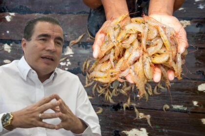 Fernando Zamora