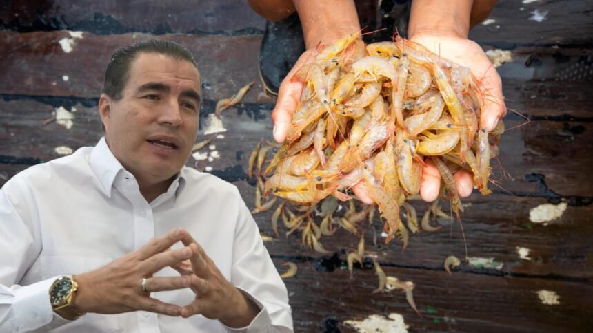 Fernando Zamora
