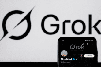 Grok vs. Gobierno