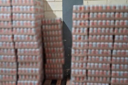 Decomisan más de 5.000