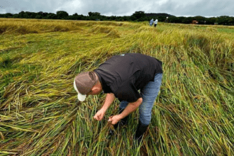 Agro pide diálogo al nuevo gobierno de Laura Fernández