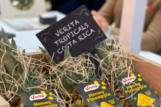 Exportación tica de frutas busca nuevos mercados en gran feria