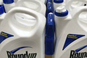 Bayer vs La Corte Suprema