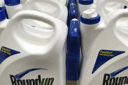 Bayer vs La Corte Suprema
