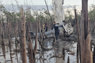 PCD decomisa cocaína en aeronave siniestrada en Carate, Puerto Jiménez