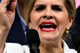 Mandato