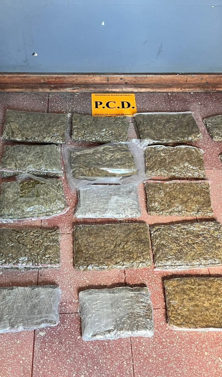 decomiso de droga: evidencia de marihuana, cocaína, armas y dinero decomiso de droga: evidencia de marihuana, cocaína, armas y dinero